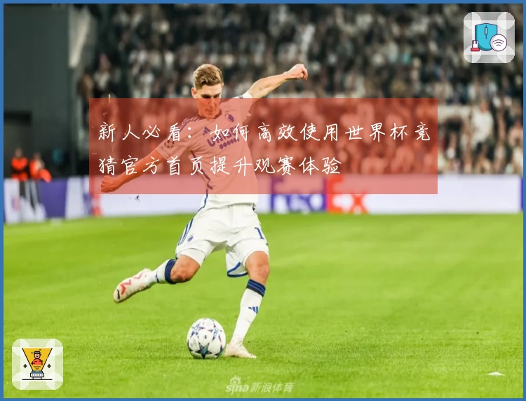 新人必看：如何高效使用世界杯竞猜官方首页提升观赛体验