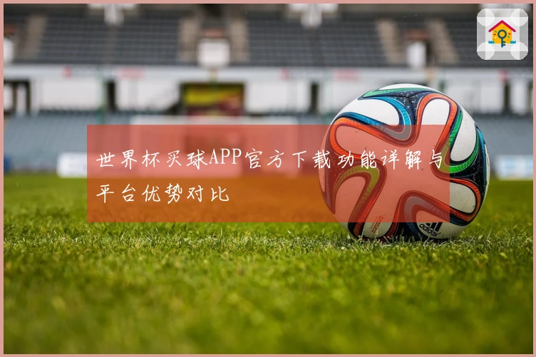 世界杯买球APP官方下载功能详解与平台优势对比
