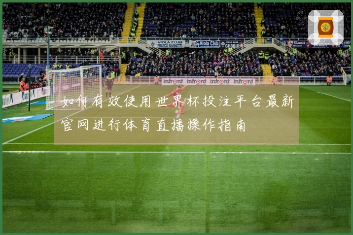 如何有效使用世界杯投注平台最新官网进行体育直播操作指南