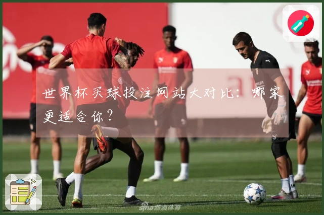 世界杯买球投注网站大对比：哪家更适合你？