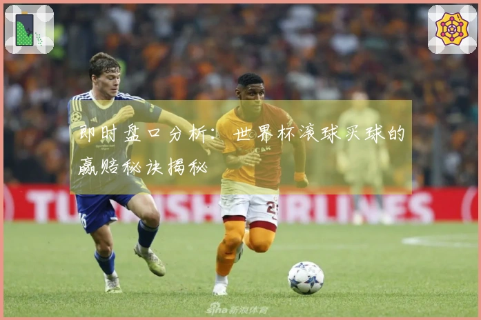 即时盘口分析:世界杯滚球买球的赢赔秘诀揭秘