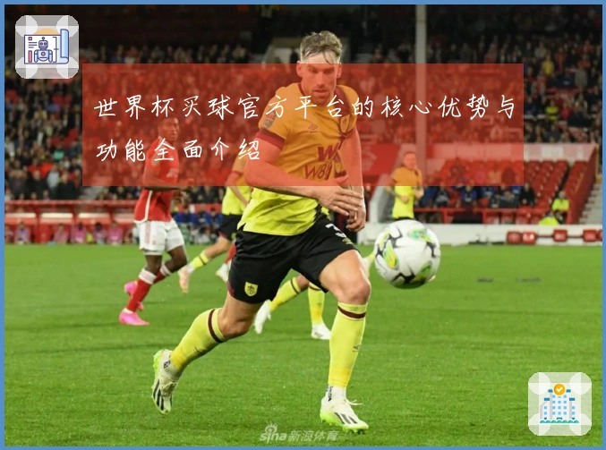 世界杯买球官方平台的核心优势与功能全面介绍