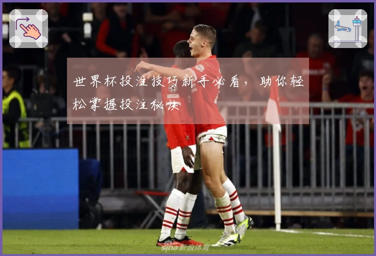 世界杯投注技巧新手必看，助你轻松掌握投注秘诀