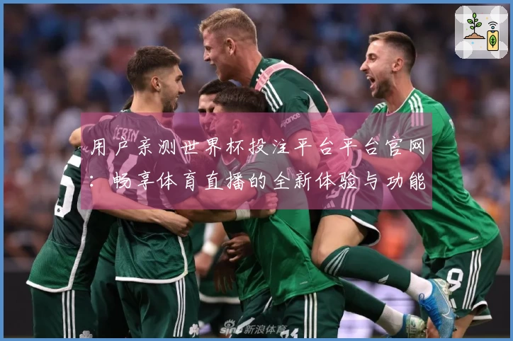 用户亲测世界杯投注平台平台官网：畅享体育直播的全新体验与功能揭秘