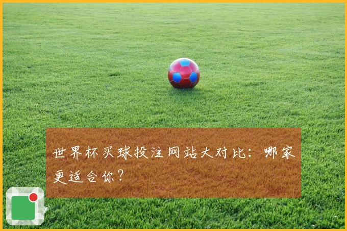 世界杯买球投注网站大对比:哪家更适合你?