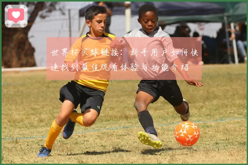 世界杯买球链接：新手用户如何快速找到最佳观看体验与功能介绍