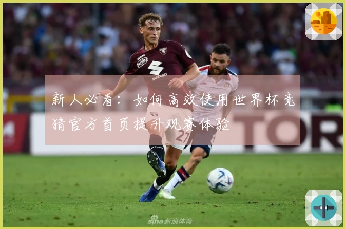 新人必看:如何高效使用世界杯竞猜官方首页提升观赛体验