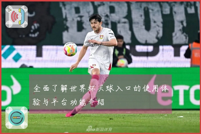全面了解世界杯买球入口的使用体验与平台功能介绍