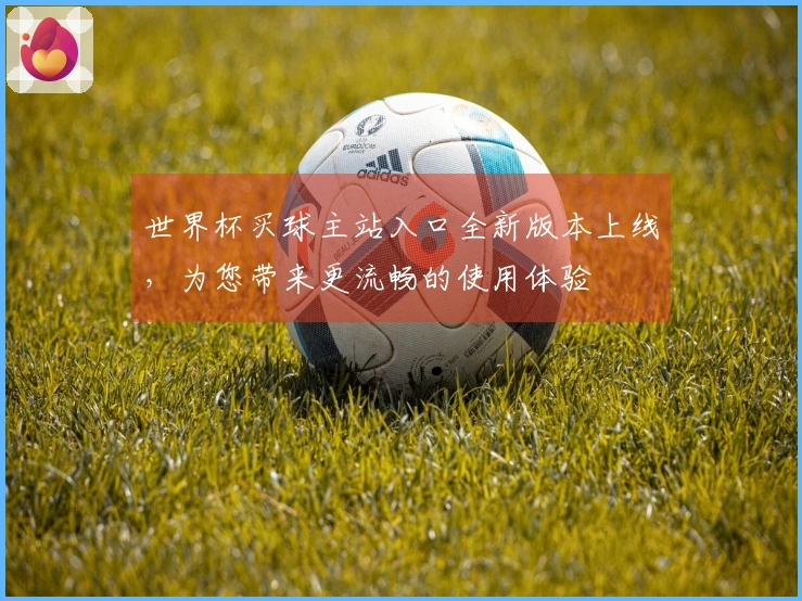 世界杯买球主站入口全新版本上线,为您带来更流畅的使用体验